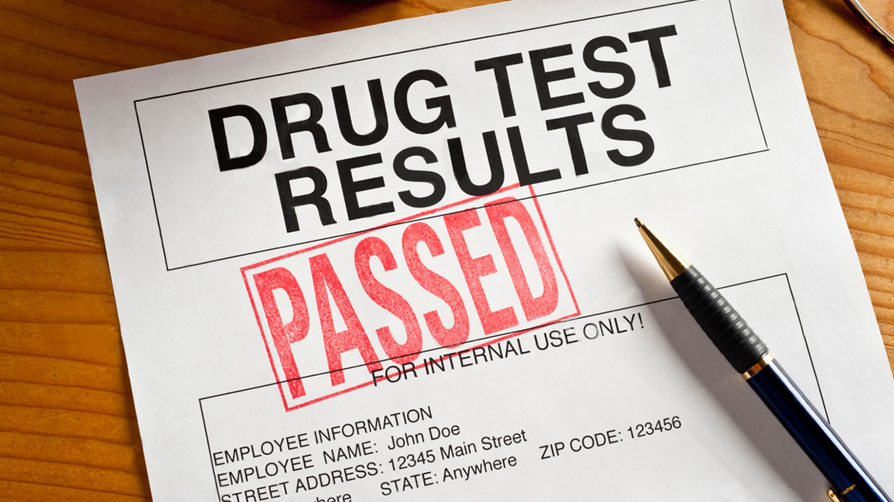 Drug Test Survival Guide: How to Prepare and Pass with Confidence